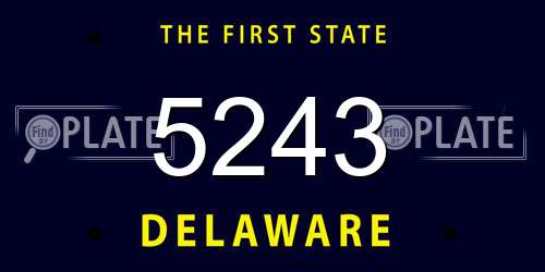 5243 Delaware License Plate