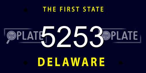 5253 Delaware License Plate