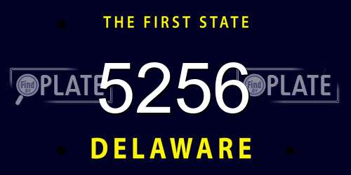 5256 Delaware License Plate