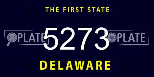 5273 Delaware License Plate