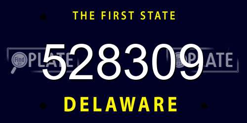 528309 Delaware License Plate