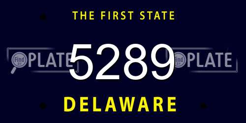 5289 Delaware License Plate