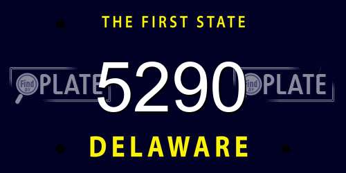 5290 Delaware License Plate