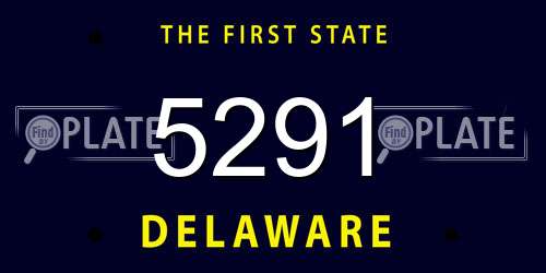 5291 Delaware License Plate