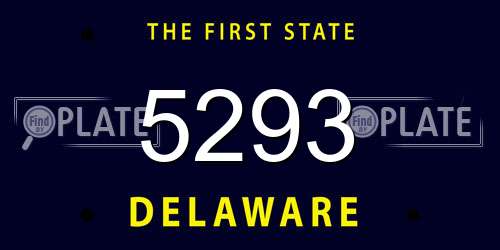 5293 Delaware License Plate