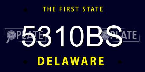5310BS Delaware License Plate