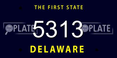 5313 Delaware License Plate