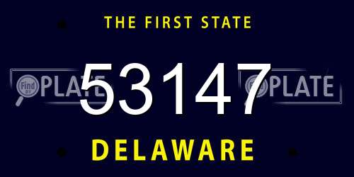 53147 Delaware License Plate