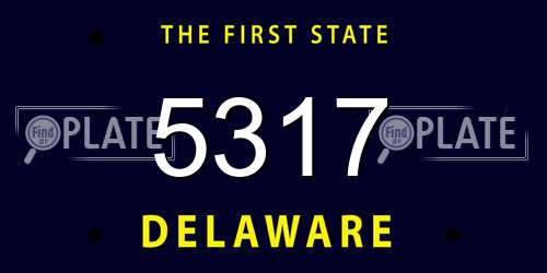 5317 Delaware License Plate