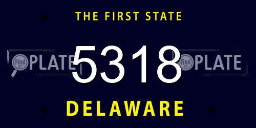 5318 Delaware License Plate