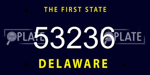 53236 Delaware License Plate