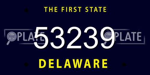53239 Delaware License Plate