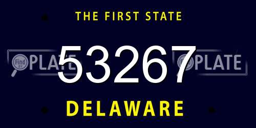 53267 Delaware License Plate