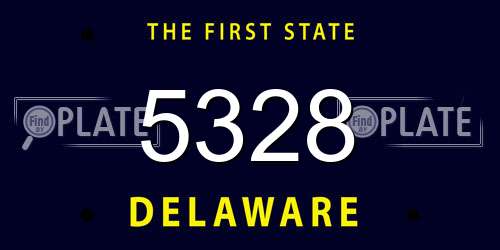 5328 Delaware License Plate