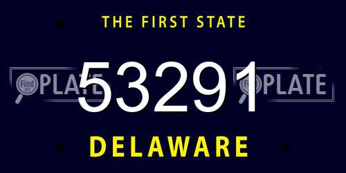 53291 Delaware License Plate
