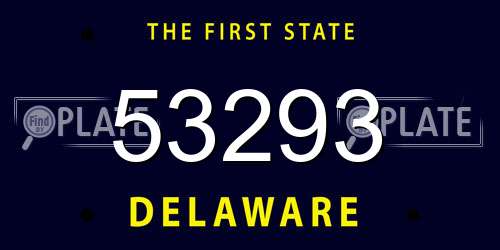 53293 Delaware License Plate
