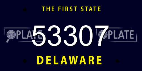 53307 Delaware License Plate