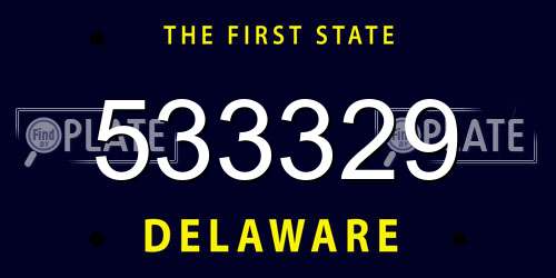 533329 Delaware License Plate