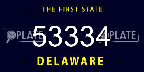 53334 Delaware License Plate