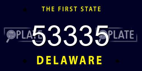 53335 Delaware License Plate
