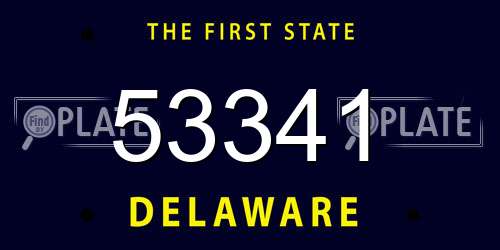 53341 Delaware License Plate