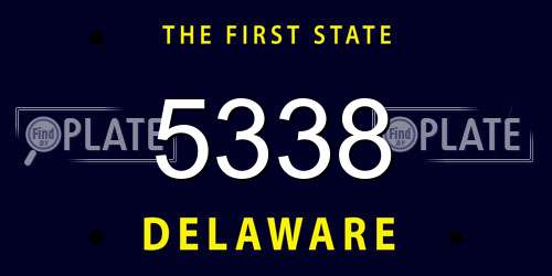 5338 Delaware License Plate