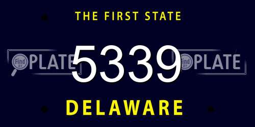 5339 Delaware License Plate