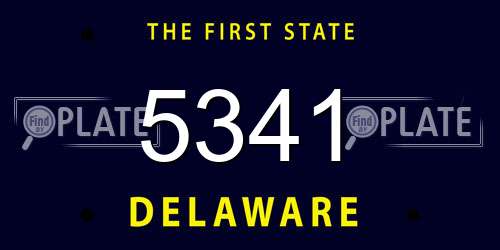 5341 Delaware License Plate