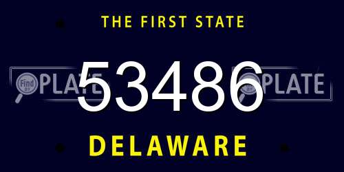 53486 Delaware License Plate