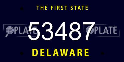 53487 Delaware License Plate