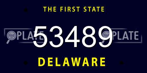 53489 Delaware License Plate