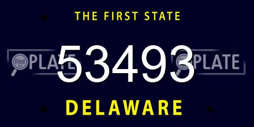 53493 Delaware License Plate