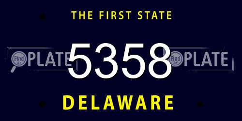 5358 Delaware License Plate