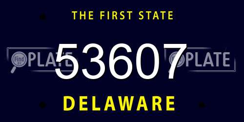 53607 Delaware License Plate