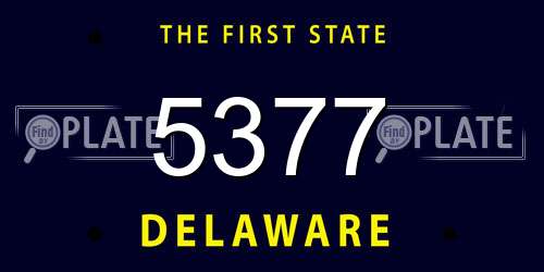 5377 Delaware License Plate