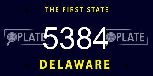 5384 Delaware License Plate