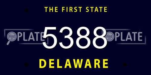 5388 Delaware License Plate
