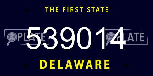 539014 Delaware License Plate