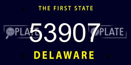 53907 Delaware License Plate