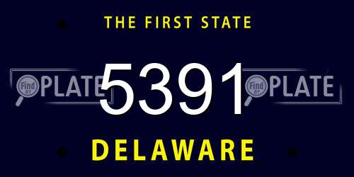 5391 Delaware License Plate