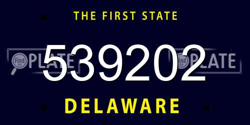 539202 Delaware License Plate