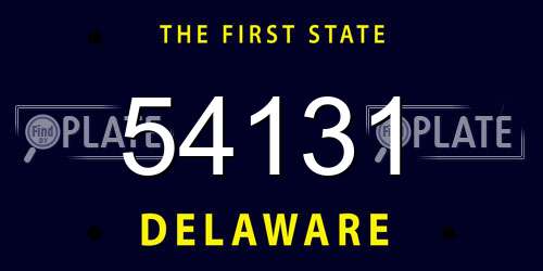 54131 Delaware License Plate