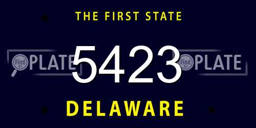 5423 Delaware License Plate