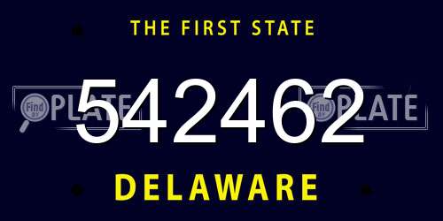 542462 Delaware License Plate