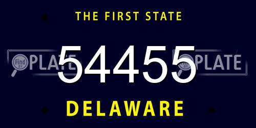 54455 Delaware License Plate