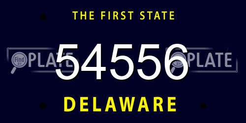 54556 Delaware License Plate