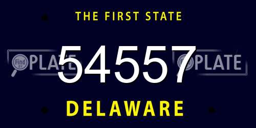 54557 Delaware License Plate