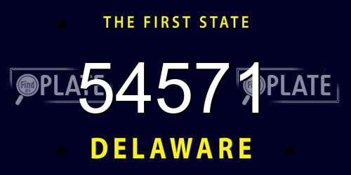 54571 Delaware License Plate