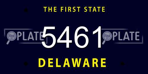5461 Delaware License Plate