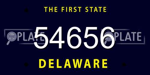 54656 Delaware License Plate